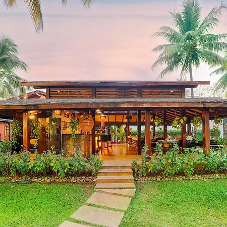 Tropicana Resort & Spa Alibaug 阿里巴格 外观 照片