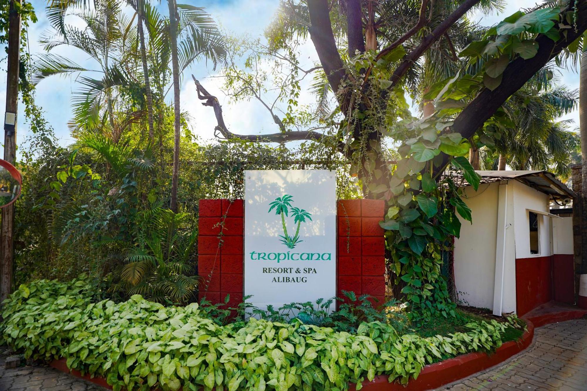 Tropicana Resort & Spa Alibaug 阿里巴格 外观 照片