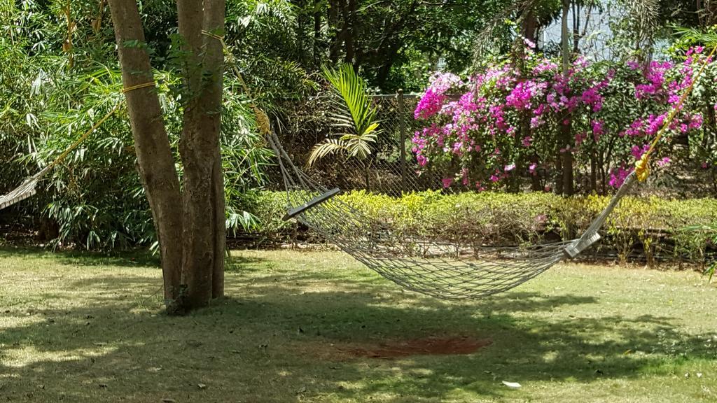 Tropicana Resort & Spa Alibaug 阿里巴格 外观 照片