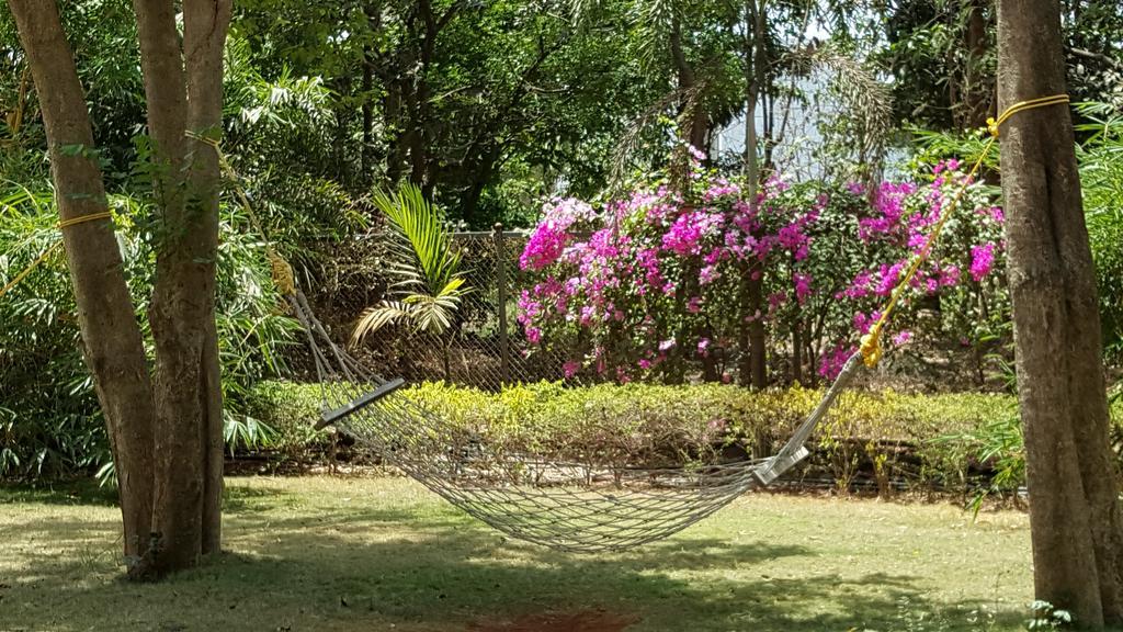 Tropicana Resort & Spa Alibaug 阿里巴格 外观 照片